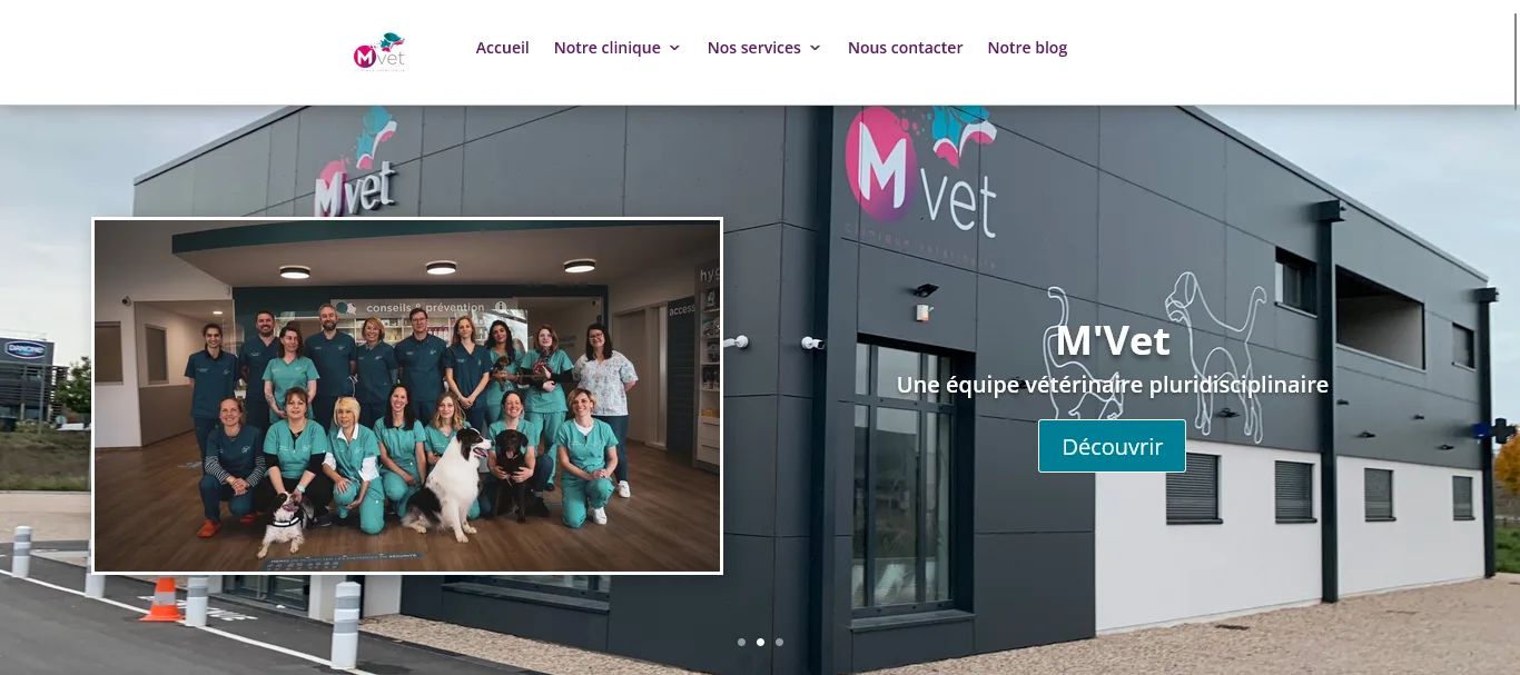 Screenshot 2023-04-24 at 09-58-56 M’vet Le partenaire santé de vos animaux