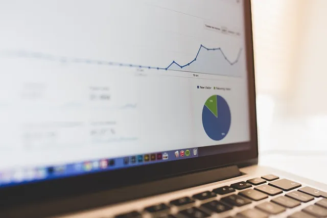 seo-engeneer SEO Dashboard